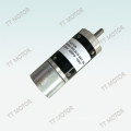 brushless hobby 12V 24V dc motor